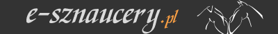 sznauzery banner sznauzery banner