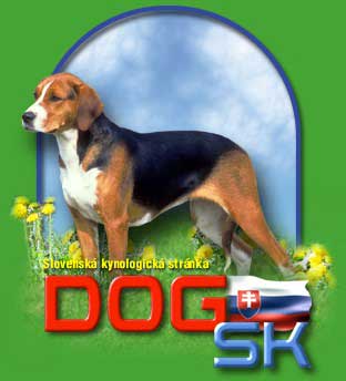 dog banner