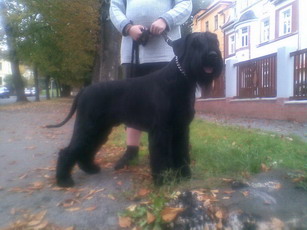 Jeffery Slunen paprsek (Hezy+Jef)