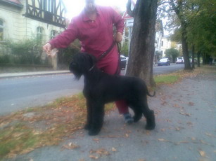 Jeffery Slunen paprsek (Hezy+Jef)
