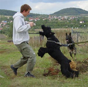 trénink v přírodě